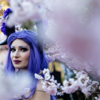 Cosplayer:in vor Blütenbaum auf der Manga-Comic-Con 2024 Cosplayer:in vor Blütenbaum auf der Manga-Comic-Con 2024